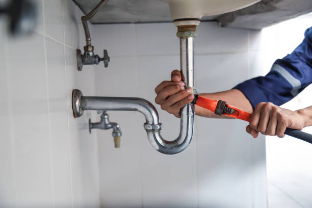 Best Leak Detection Services  in Roseland, OH